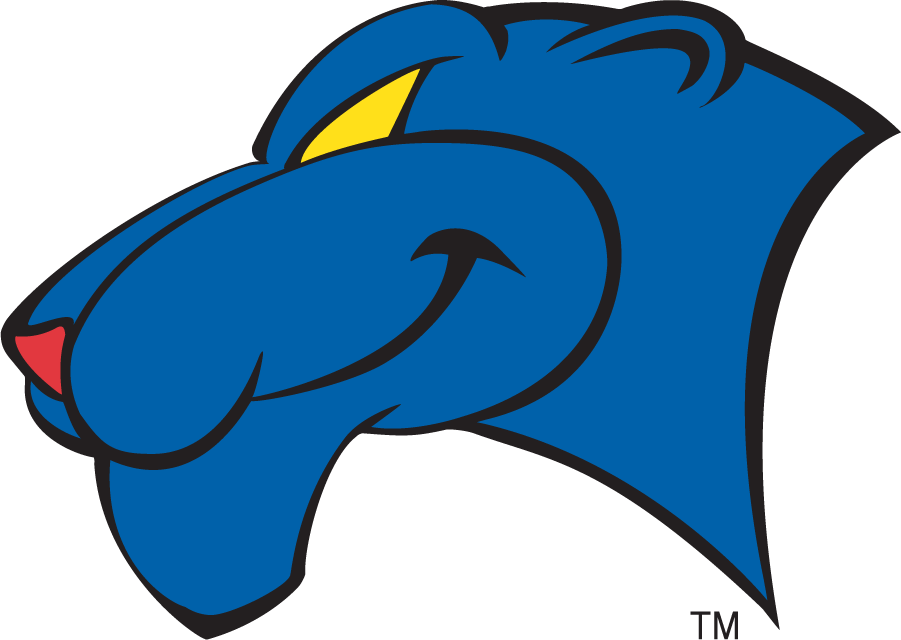 Georgia State Panthers 2002-2009 Secondary Logo v2 iron on transfers for T-shirts